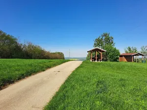 Prodej sadu/vinice, Nikolčice, 2568 m2