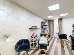 Prodej obchodního prostoru, Třebíč - Vnitřní Město, Hasskova, 400 m2
