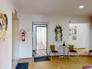 Prodej obchodního prostoru, Třebíč - Vnitřní Město, Hasskova, 400 m2