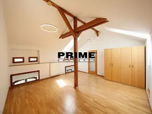 Pronájem bytu 4+kk, Praha - Vinohrady, Havlíčkovy sady, 170 m2