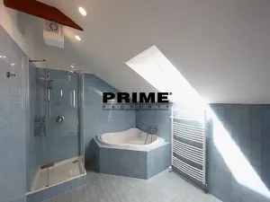 Pronájem bytu 4+kk, Praha - Vinohrady, Havlíčkovy sady, 170 m2
