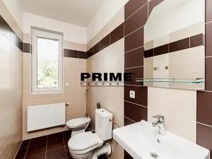 Pronájem rodinného domu, Průhonice, Pod Valem II., 350 m2