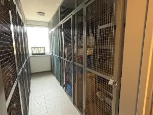 Pronájem bytu 2+kk, Nehvizdy, Úvalská, 55 m2