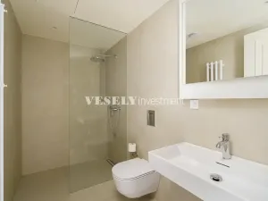 Prodej bytu 2+kk, Praha - Nusle, Boleslavova, 58 m2