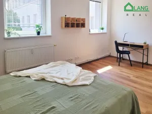 Pronájem bytu 1+kk, Brno, Cejl, 24 m2