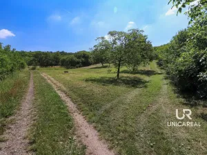 Prodej pole, Židlochovice, 3851 m2