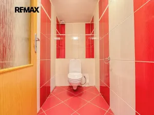 Prodej rodinného domu, Bochov, Mlýnská, 323 m2