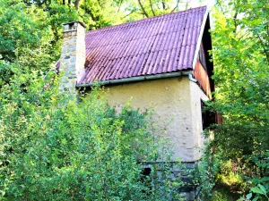 Prodej chaty, Kamenný Újezd - Rančice, 50 m2