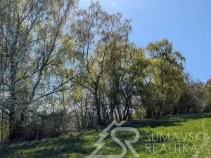 Prodej pozemku, Dlouhá Ves - Bohdašice, 327 m2