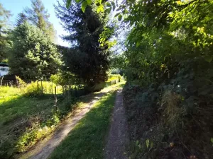 Prodej zahrady, Mšeno, 410 m2