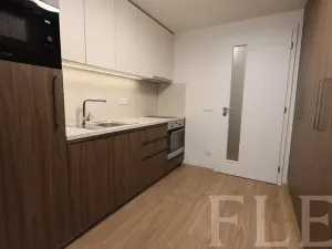 Pronájem bytu 1+kk, Praha - Žižkov, Hartigova, 48 m2