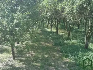 Prodej sadu/vinice, Vanovice, 5319 m2
