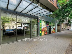 Prodej bytu 2+kk, Praha - Holešovice, Na Maninách, 52 m2