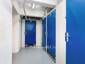 Prodej bytu 3+kk, Praha - Žižkov, Viklefova, 100 m2