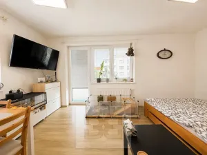 Pronájem bytu 1+kk, Slavkov u Brna, 31 m2