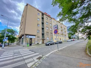 Pronájem bytu 1+kk, Praha - Nusle, Na Vítězné pláni, 23 m2