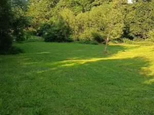 Prodej pozemku pro bydlení, Světlá Hora - Dětřichovice, 3506 m2
