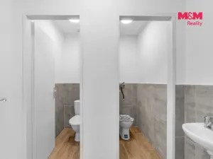Pronájem výrobních prostor, Nová Paka, Přibyslavská, 450 m2