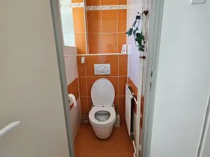 Pronájem rodinného domu, Velká Polom, Osvoboditelů, 300 m2