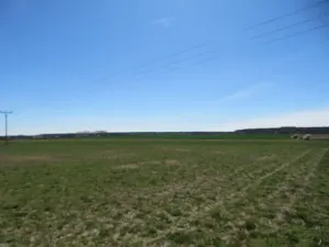 Dražba pole, Běrunice, 15140 m2