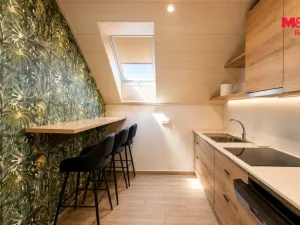 Prodej ubytování, Slavonice, Nádražní, 440 m2