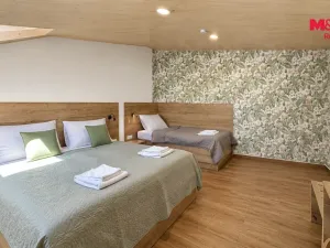 Prodej ubytování, Slavonice, Nádražní, 440 m2