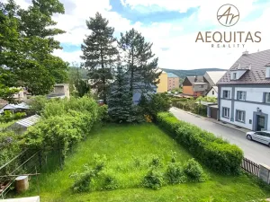 Prodej rodinného domu, Nové Město pod Smrkem, Žižkova, 205 m2