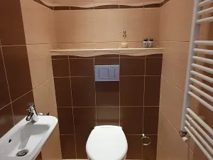Pronájem bytu 3+1, Praha, Italská, 112 m2