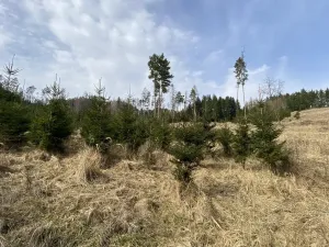 Prodej louky, Městečko Trnávka - Lázy, 1410 m2