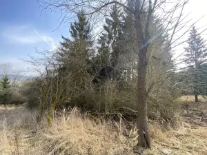 Prodej louky, Městečko Trnávka - Lázy, 1410 m2