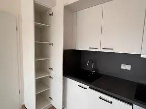 Pronájem bytu 3+kk, Praha - Řeporyje, Haenkeho, 65 m2