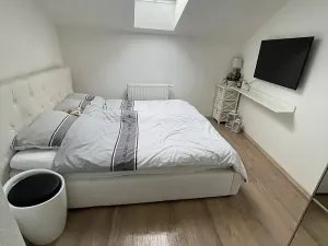 Pronájem bytu 3+1, Brno, Bratislavská, 106 m2