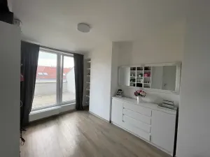 Pronájem bytu 3+1, Brno, Bratislavská, 106 m2