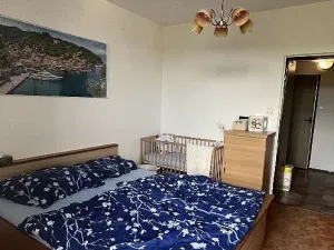Pronájem bytu 2+1, Třebíč, Novodvorská, 56 m2