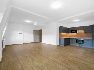 Pronájem bytu 1+kk, Zruč-Senec, Sportovní, 44 m2