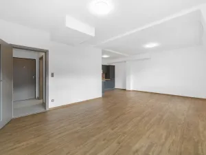 Pronájem bytu 1+kk, Zruč-Senec, Sportovní, 44 m2