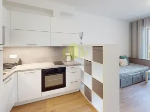 Pronájem bytu 1+kk, Olomouc, Wittgensteinova, 27 m2