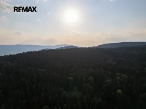 Prodej pozemku pro bydlení, Staré Město, Velké Vrbno, 888 m2