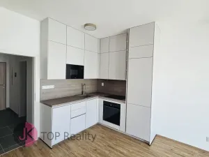 Pronájem bytu 1+kk, Plzeň, Železná, 32 m2