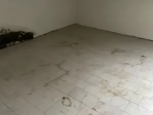 Dražba rodinného domu, Rosice, U Sýpky, 345 m2
