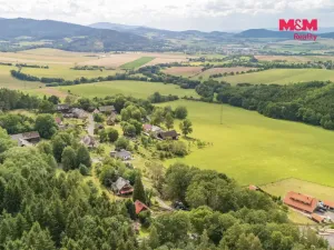 Prodej rodinného domu, Dešenice - Žiznětice, 100 m2