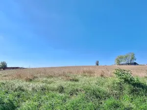 Prodej pozemku pro bydlení, Hrušovany u Brna, Pod Střediskem, 1062 m2