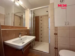 Pronájem bytu 1+kk, Prostějov, sídl. E. Beneše, 30 m2