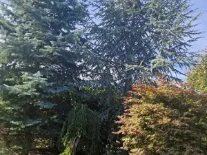 Prodej rodinného domu, Uherský Brod, Brodská, 138 m2
