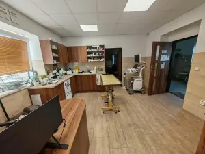 Prodej vícegeneračního domu, Lázně Bohdaneč, Škroupova, 205 m2