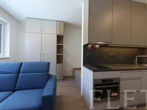 Pronájem bytu 1+kk, Praha - Holešovice, V háji, 30 m2