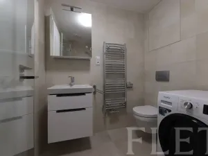Pronájem bytu 1+kk, Praha - Holešovice, V háji, 30 m2