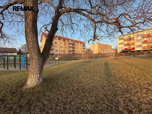 Pronájem bytu 2+1, Kralovice, Na Palcátech, 72 m2