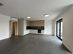 Pronájem rodinného domu, Mladá Boleslav - Chrást, 157 m2