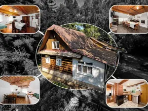 Prodej rodinného domu, Svratouch, 257 m2